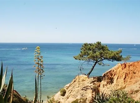 Prázdninový dům V4 Com Piscina Privada A 400 Metros Da *